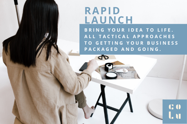 Rapid Launch Business Course by Brandtini